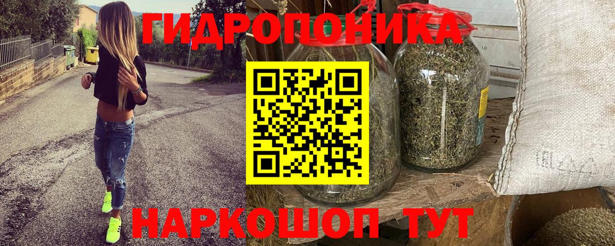 Канабис гибрид Нурлат